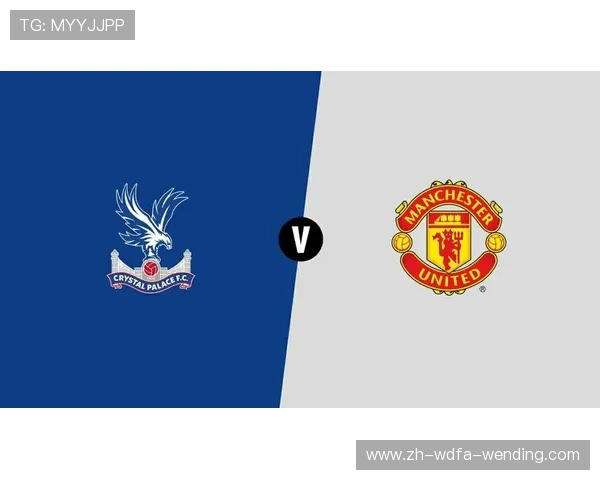 水晶宫英超球衣款式及球迷喜爱原因分析